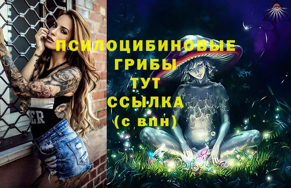 скорость Мегион