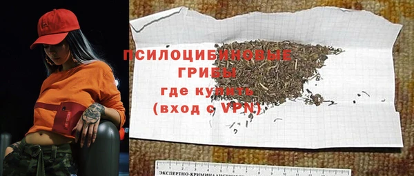 трава Медвежьегорск